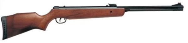 Пневматическая винтовка Gamo Big Cat CF 