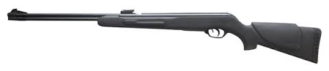Пневматическая винтовка Gamo Big Cat CF-S