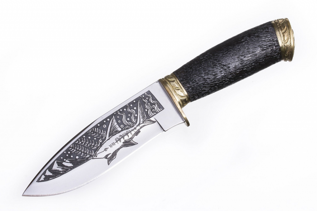 pasted image 0 (5).png